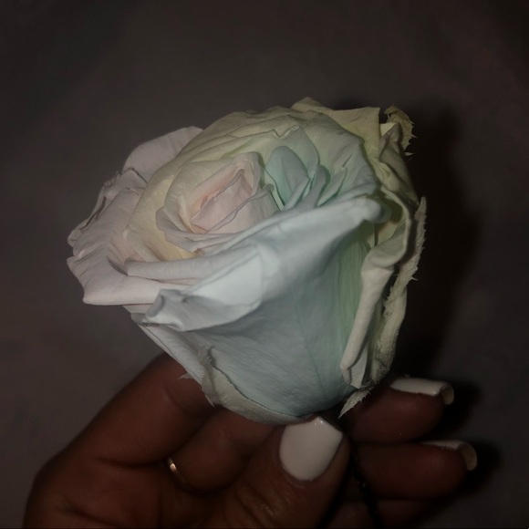 Forever Rose - Picture 2 of 7